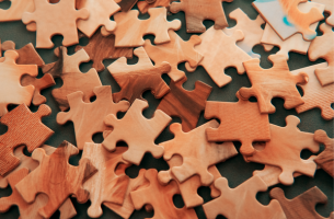 Company Culture: How to identify a good fit for you?
